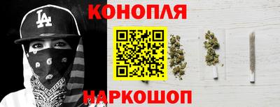 гашик Шелехов